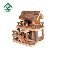 Guinea Pig Exploring House