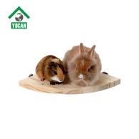 Guinea Pig Wood Jump Toy
