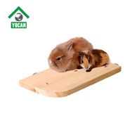 Guinea Pig Wood Platform Toy