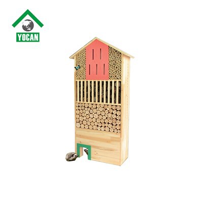 Large Complex Insect House