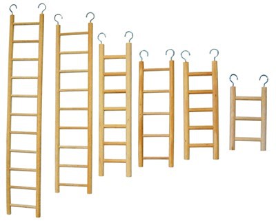 Natural Wood Climbing Ladder Bird Toy